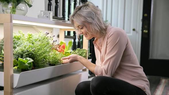 How Smart Farming Fixes the Small-Scale Grower’s Biggest Setbacks